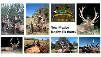 New Mexico Hunts